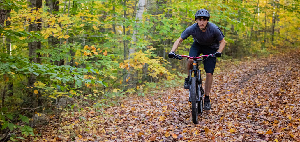 cross country trail bike